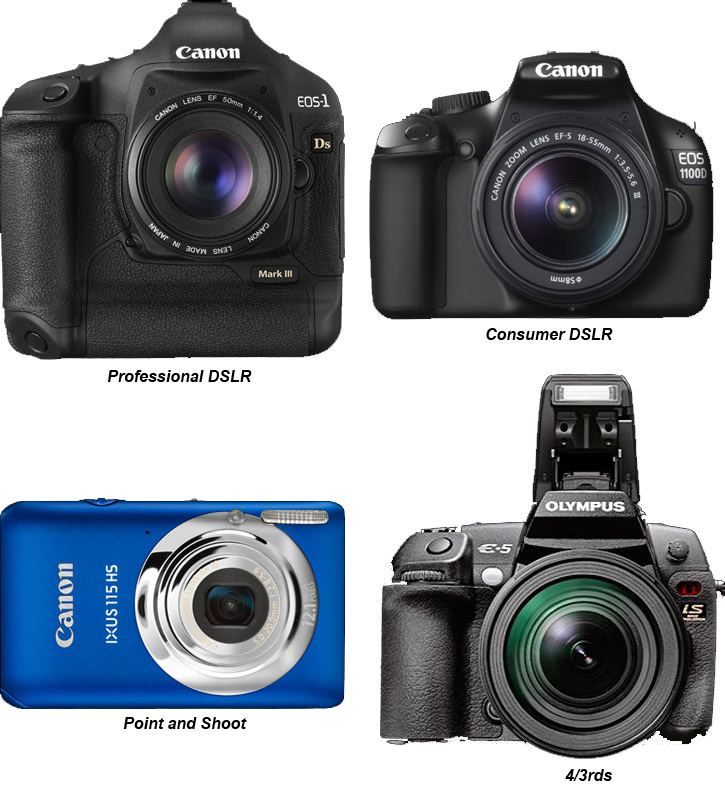 Various digital cameras