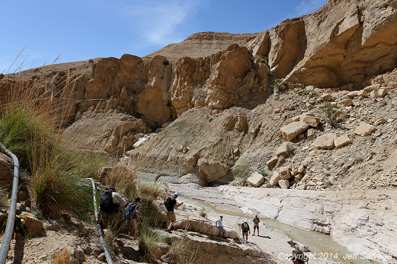 Wadi Ibn Hamad, Jordan