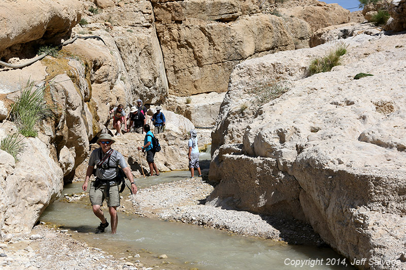 Wadi Ibn Hamad, Jordan