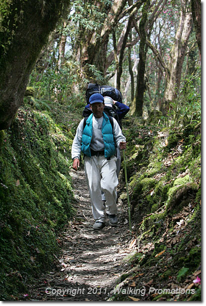 Annpurna Circuit Trek, On to Ghandruk, Nepal