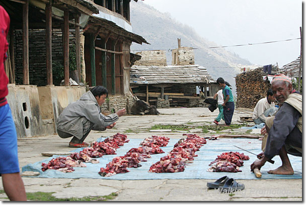 Annpurna Circuit Trek, Ghandruk, Nepal