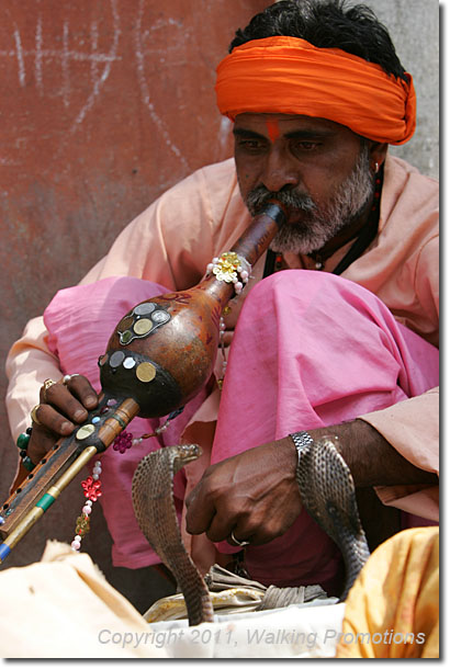 Annpurna Circuit Trek, Kathmandu Snake Charmer, Nepal