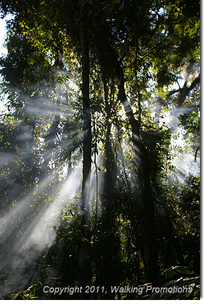 Kachin Tribal Village Trek, Beyond the Last Village, Burma