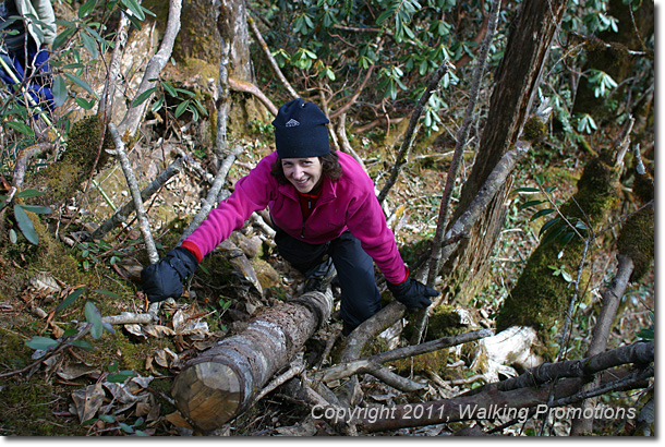 Kachin Tribal Village Trek, Mt. Phon Khan Razi - Heading Down, Burma