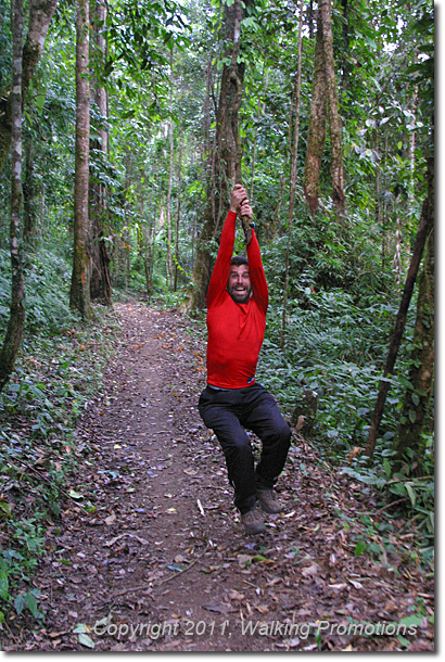 Kachin Tribal Village Trek, Mt. Phon Khan Razi - Heading Down, Burma