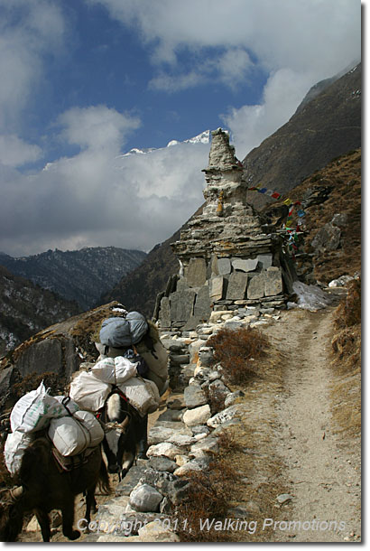 Everest Base Camp Trek, Gorak Shep to Namche Bazaar, Nepal