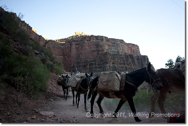 Grand Canyon, Rim to Rim to Rim, Bright Angel Trail