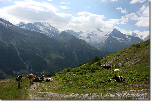 Haute Route, Barrage De Moiry – Col de Sorebois - Zinal